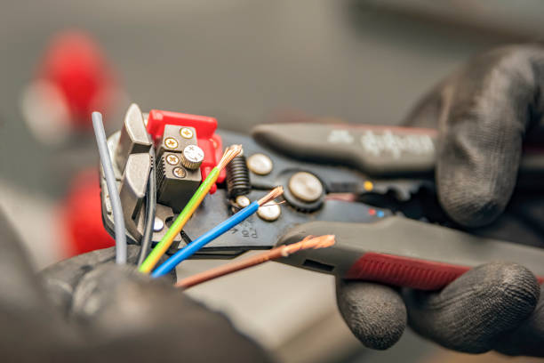 Best Electrical System Inspection  in Lake City, MN