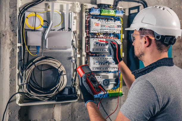 Best Local Electrician Companies  in Lake City, MN