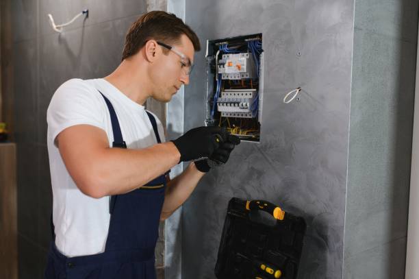 Best Electric Panel Repair  in Lake City, MN