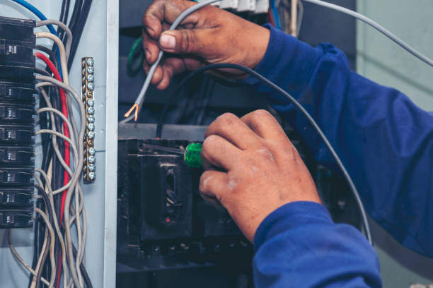 Best Electrical Rewiring Services  in Lake City, MN