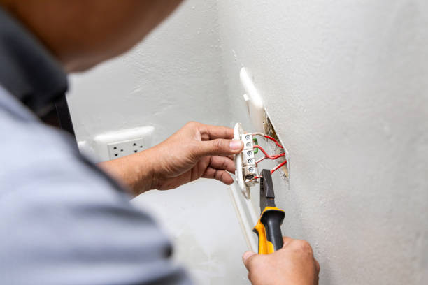Best Local Electrician Companies  in Lake City, MN
