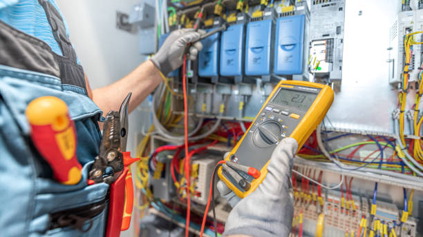 Best Affordable Electrician  in Lake City, MN